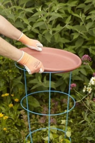 Make Your Easy Bird Feeder and Bird Bath [Image]